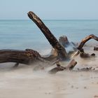 Traumtage am Strand