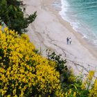 Traumurlaub am Strand von Sirolo