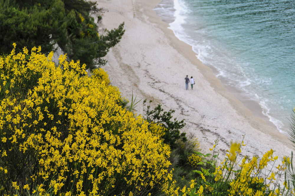 Traumurlaub am Strand von Sirolo