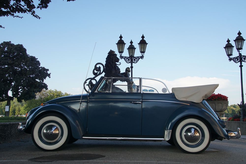 Traumwagen VW-Käfer Cabrio erste Generation, Brezelfenster wenn geschlosssen