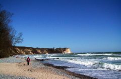 Traumwanderung mit Border-Terrier Fietje Richtung Kap Arkona / Rügen