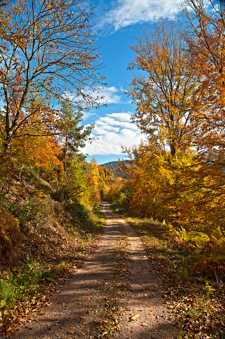 Traumweg