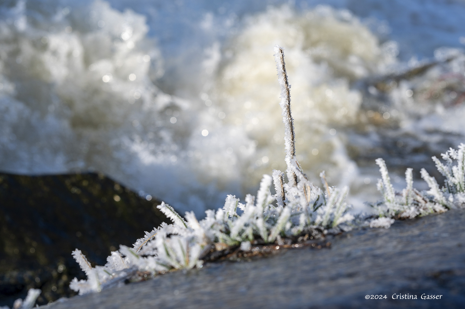 Traumwelt zwischen Wasser und Eis 1