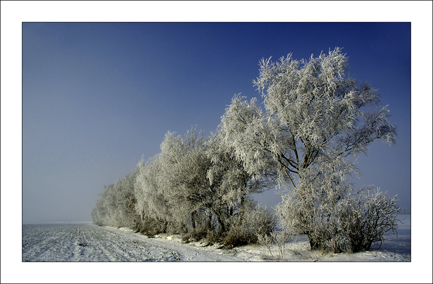 Traumwetter....