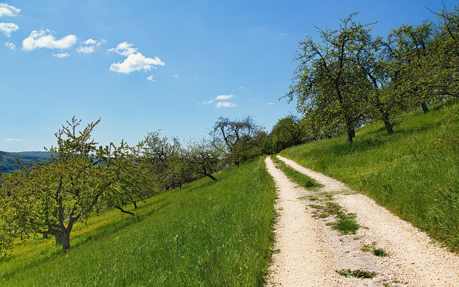 *Traumwetter*