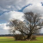 Traumwetter