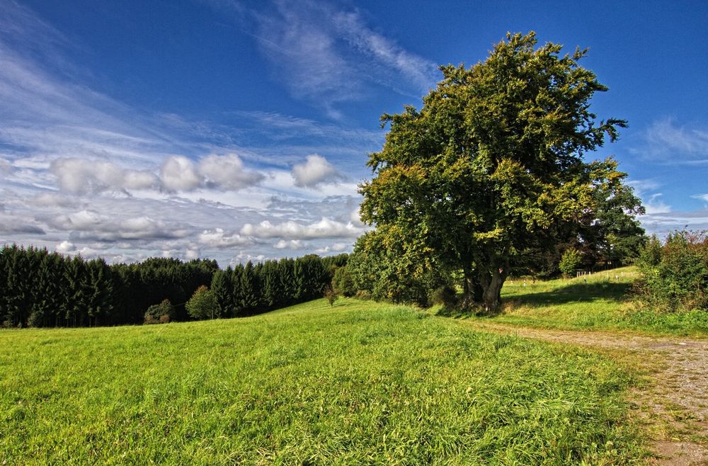 Traumwetter