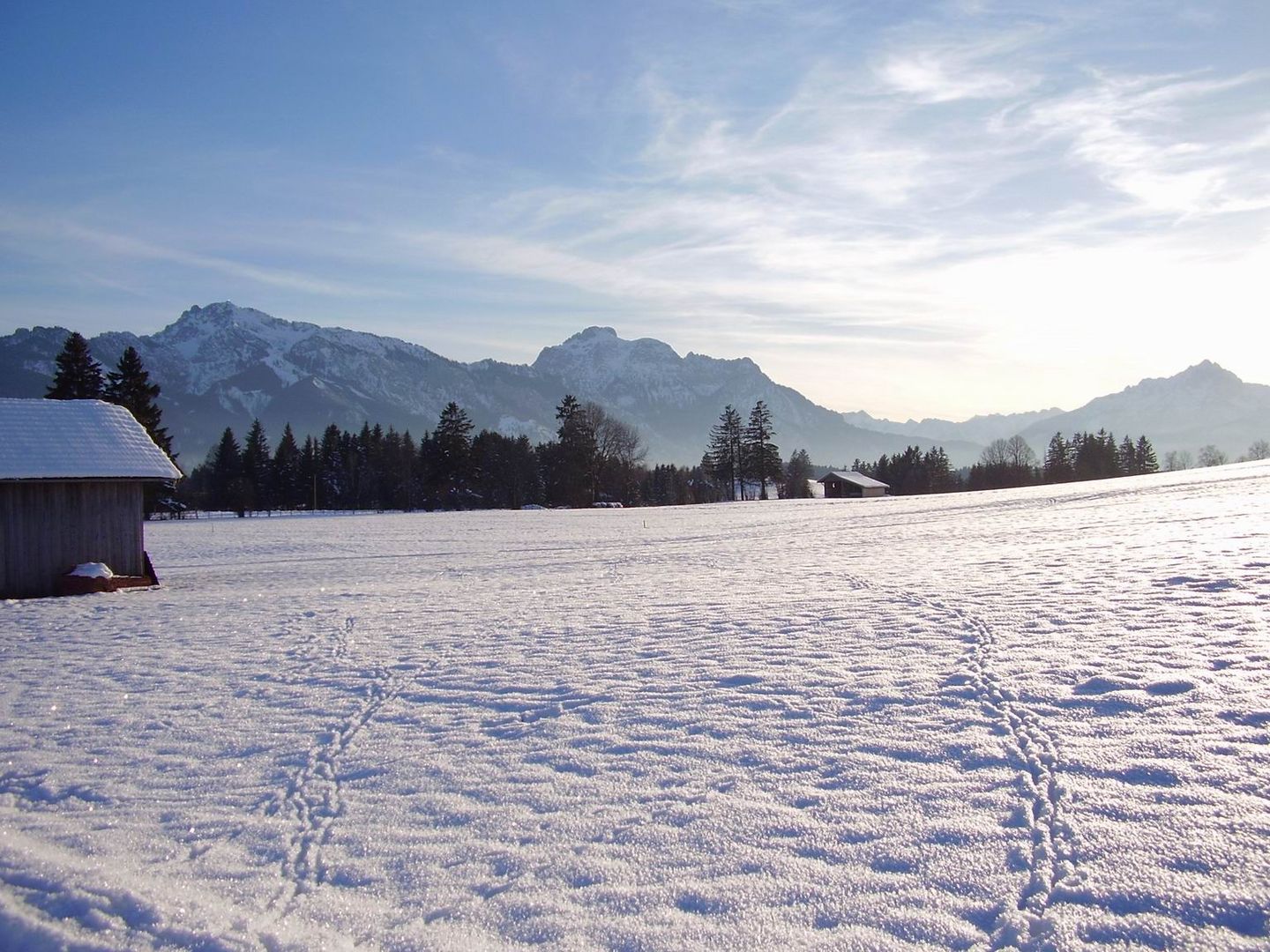 Traumwetter