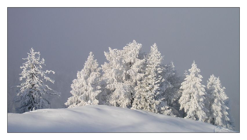 Traumwinter von Klaus Mehl