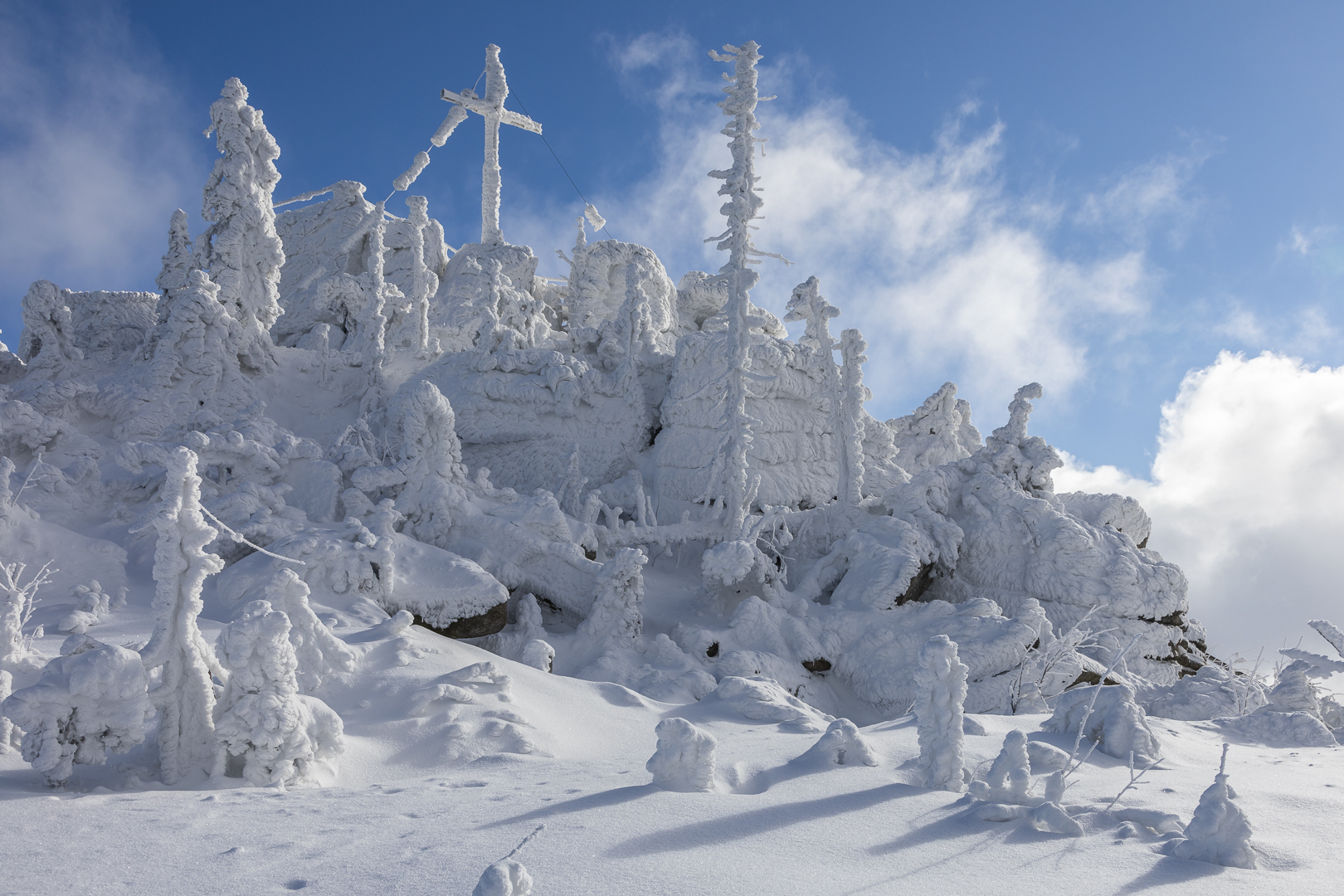 Traumwinter am Gipfel des Dreisesselbergs