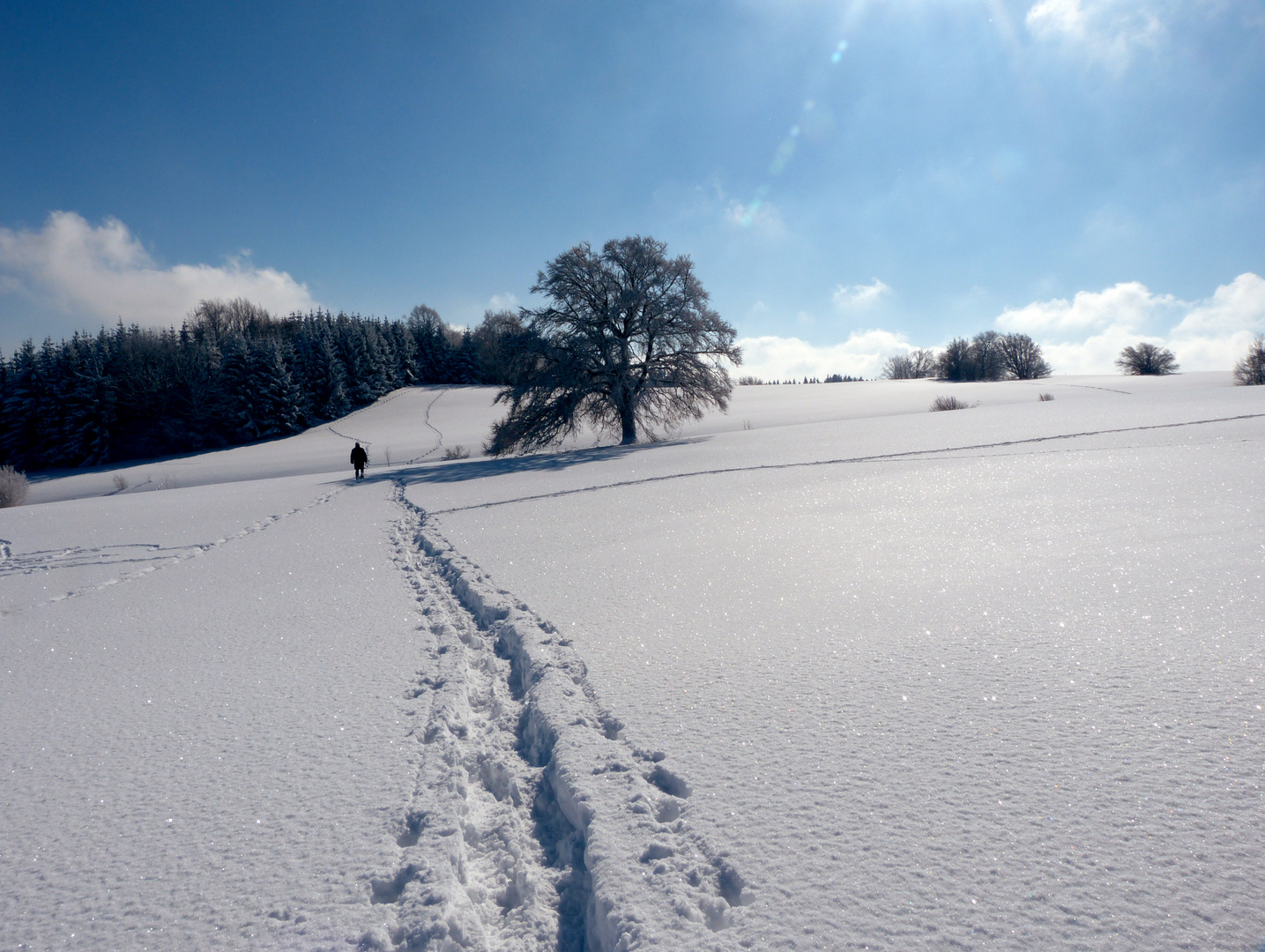 Traumwinter beim Hörnle