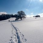 Traumwinter beim Hörnle