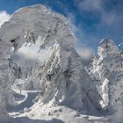 Traumwinter im Bayrischen Wald