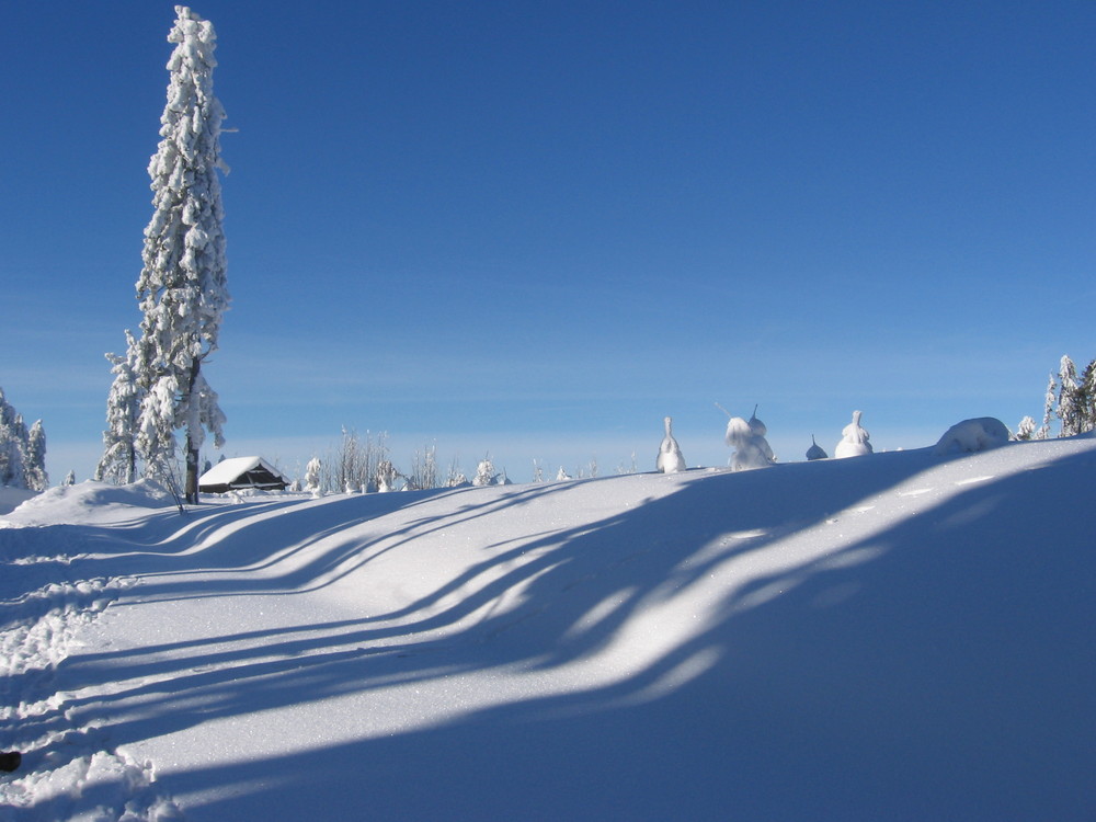 Traumwinter im Erzgebirge