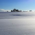 Traumwinter im Fichtelgebirge