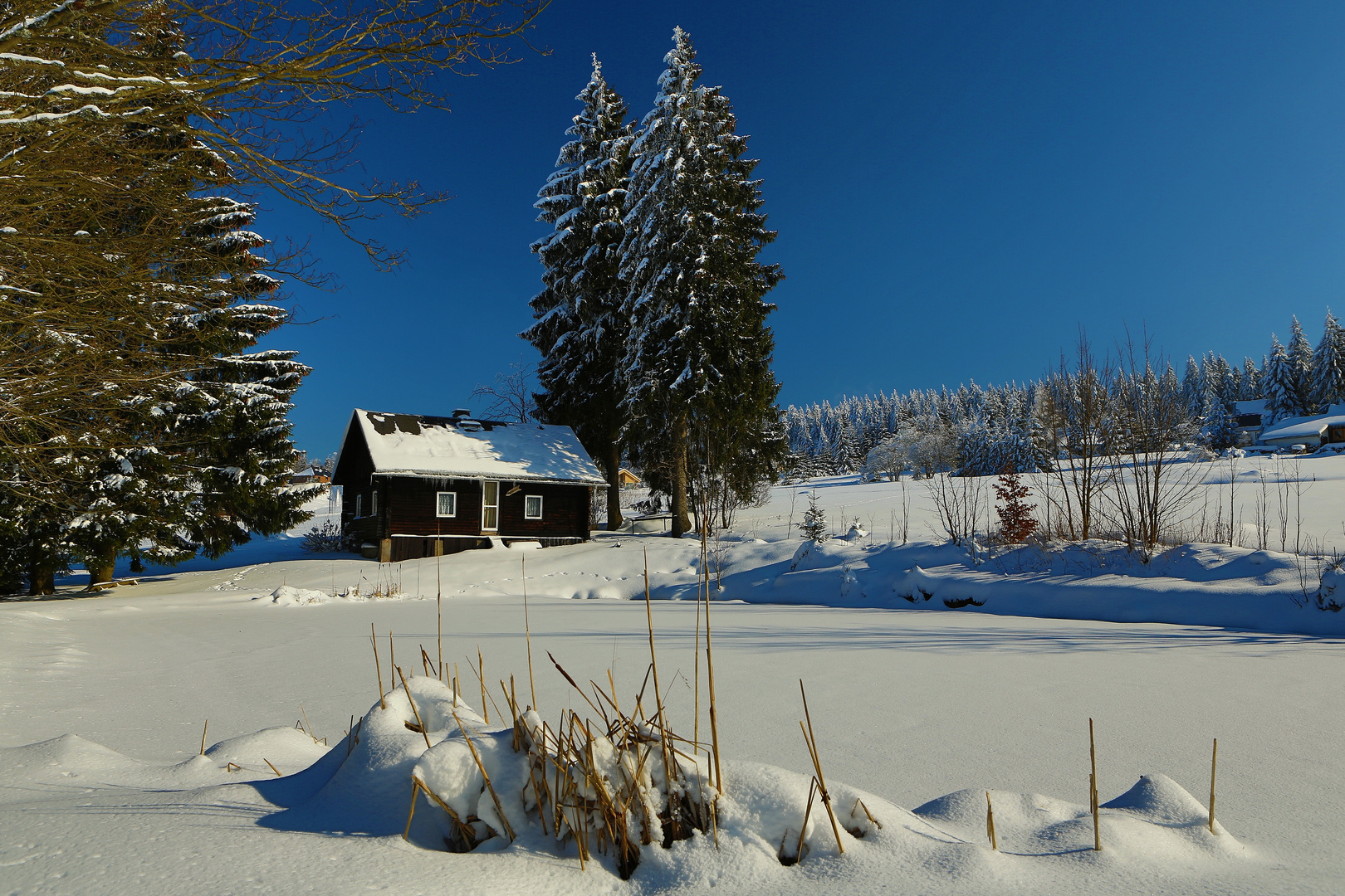 Traumwinter im Vogtland