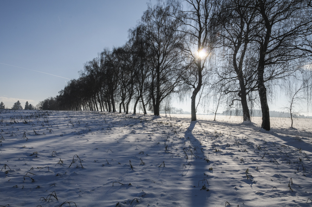 Traumwintertag