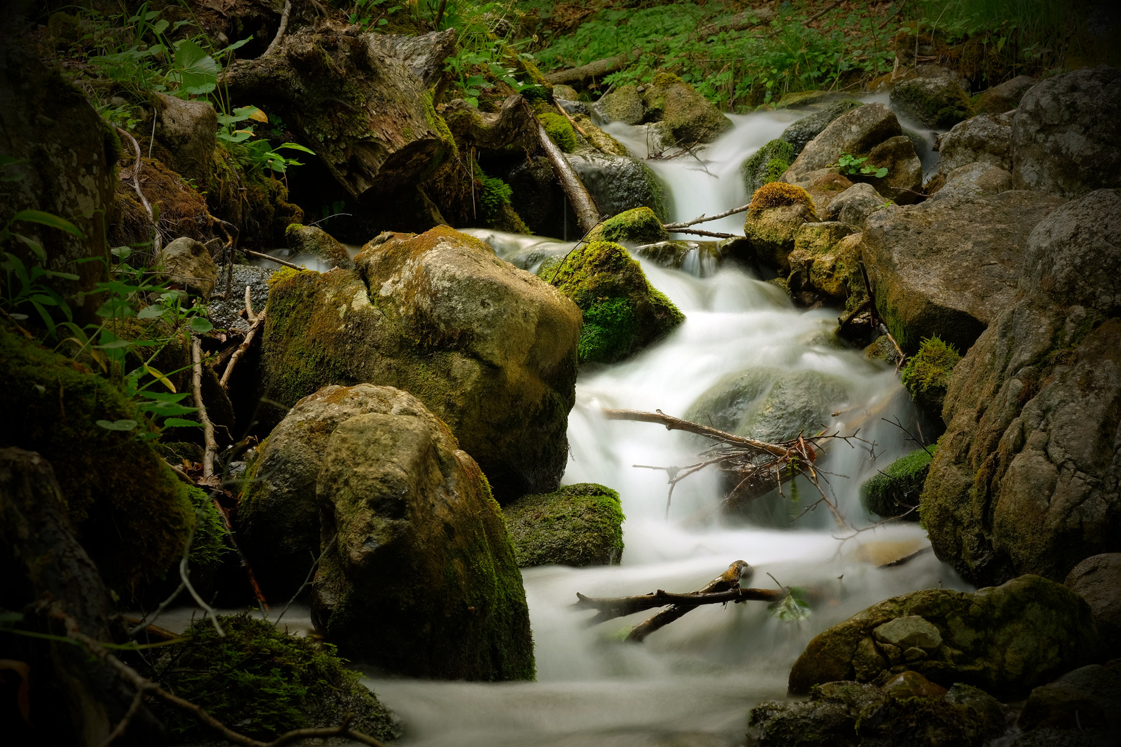 Traumzeit am Bach