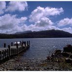 Traumziel Tasmanien: Lake St Clair