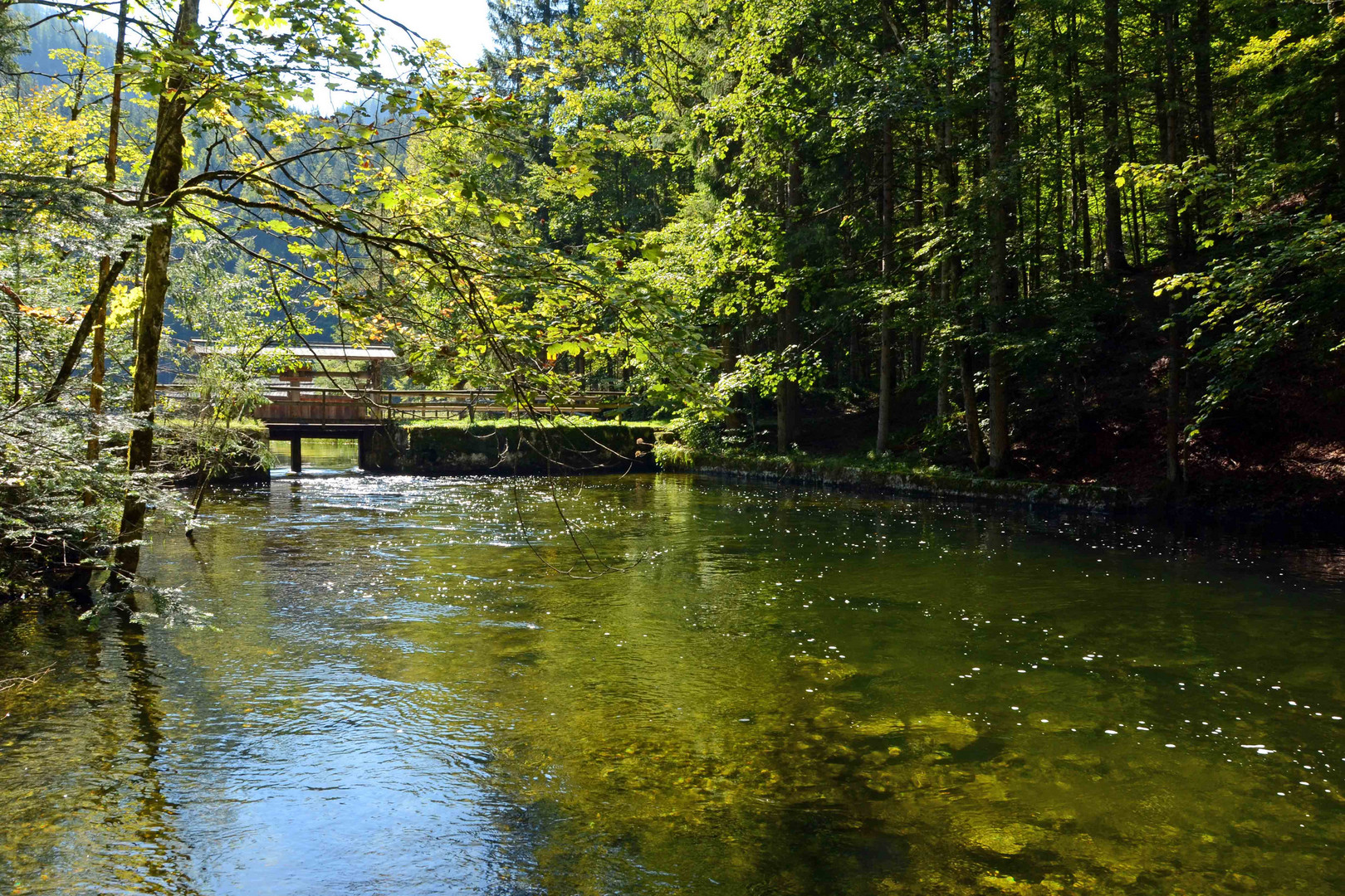 Traun Abfluss am Toplitzsee