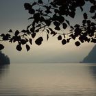 Traunsee