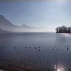 Traunsee