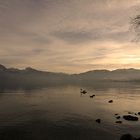 Traunsee