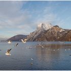 Traunsee