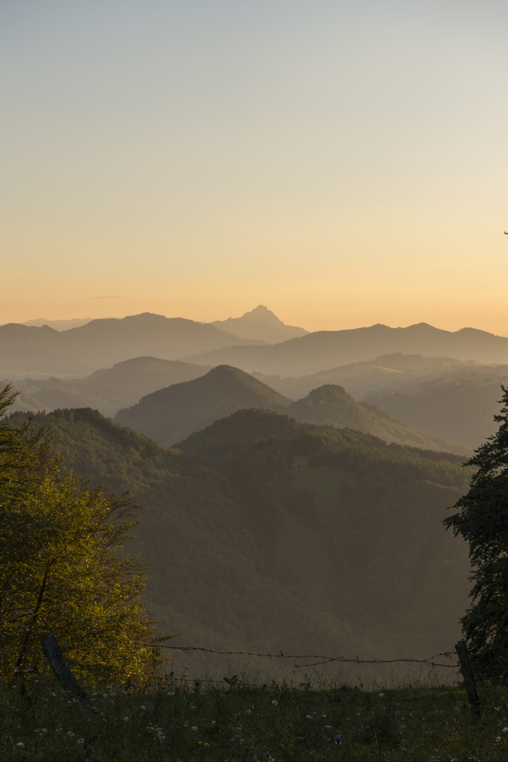 Traunstein vom Kruckenbrettl