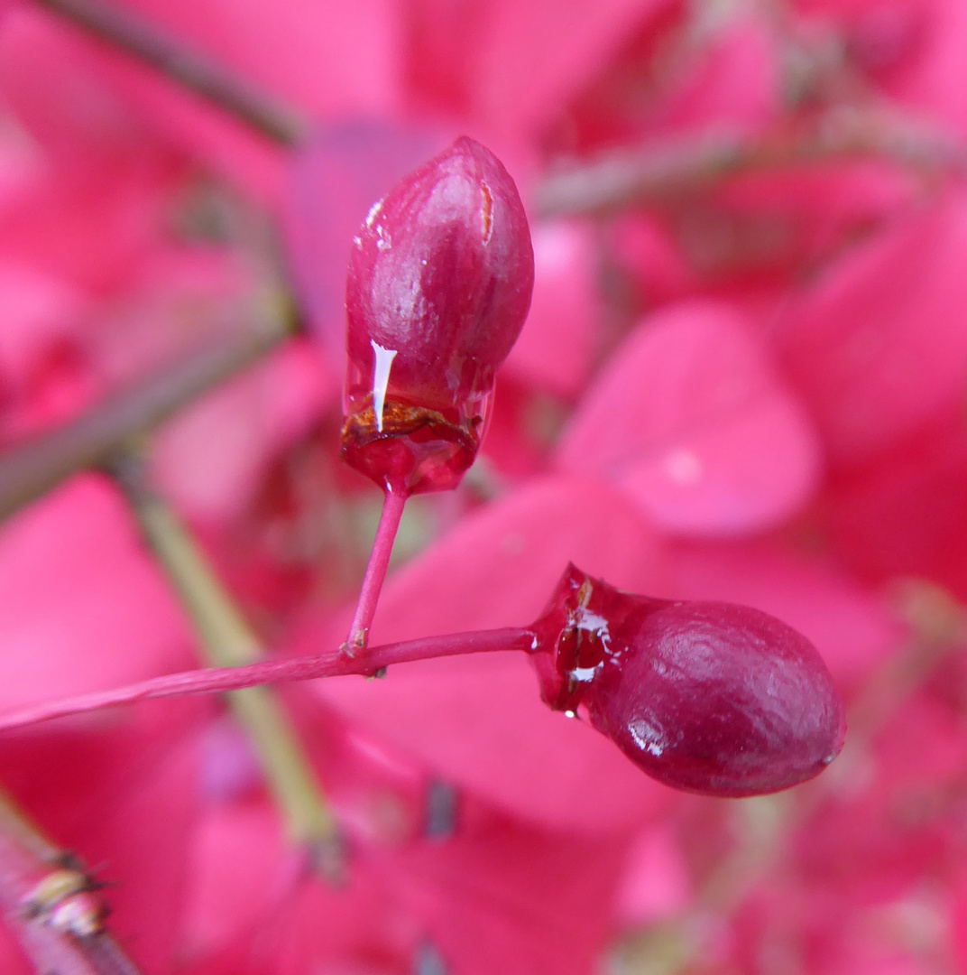 Traurig im Herbst 