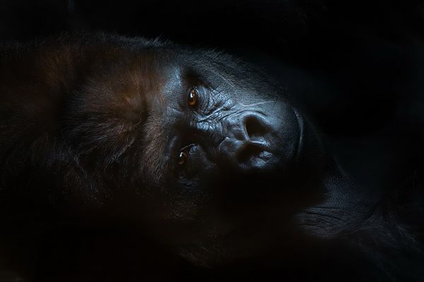 # Traurig und nachdenklich