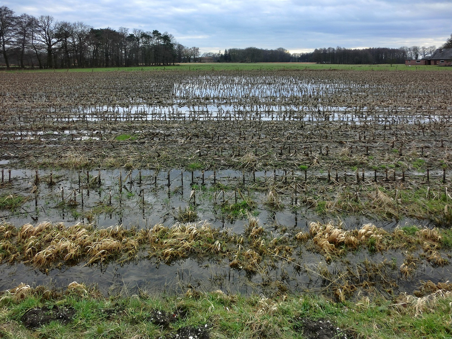 Traurige Februar-Landschaft