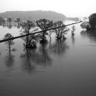 Traurige Landschaft