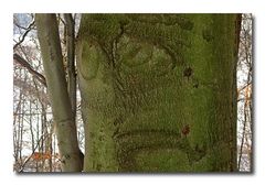 :-( Trauriger Baum...