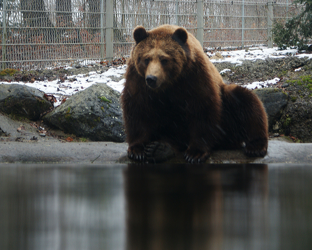 trauriger Blick…