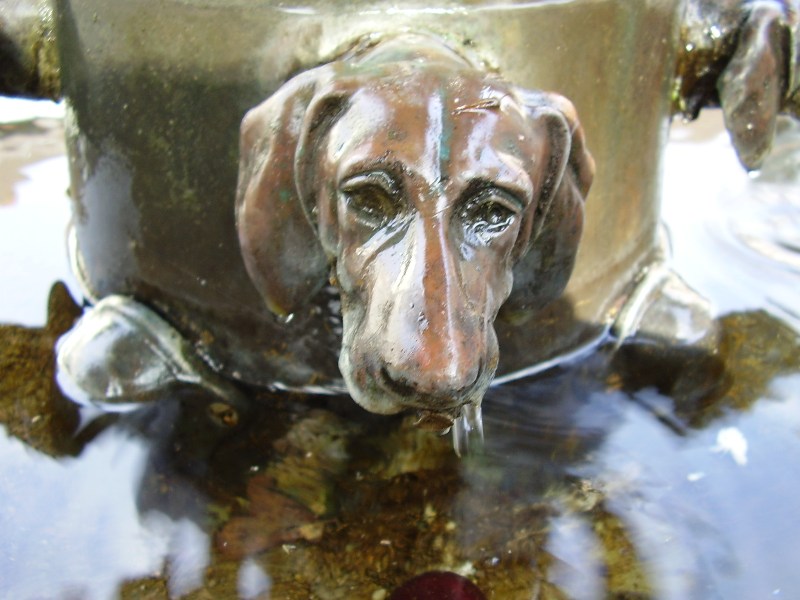 Trauriger Hund Foto & Bild architektur, zierbrunnen, motive Bilder