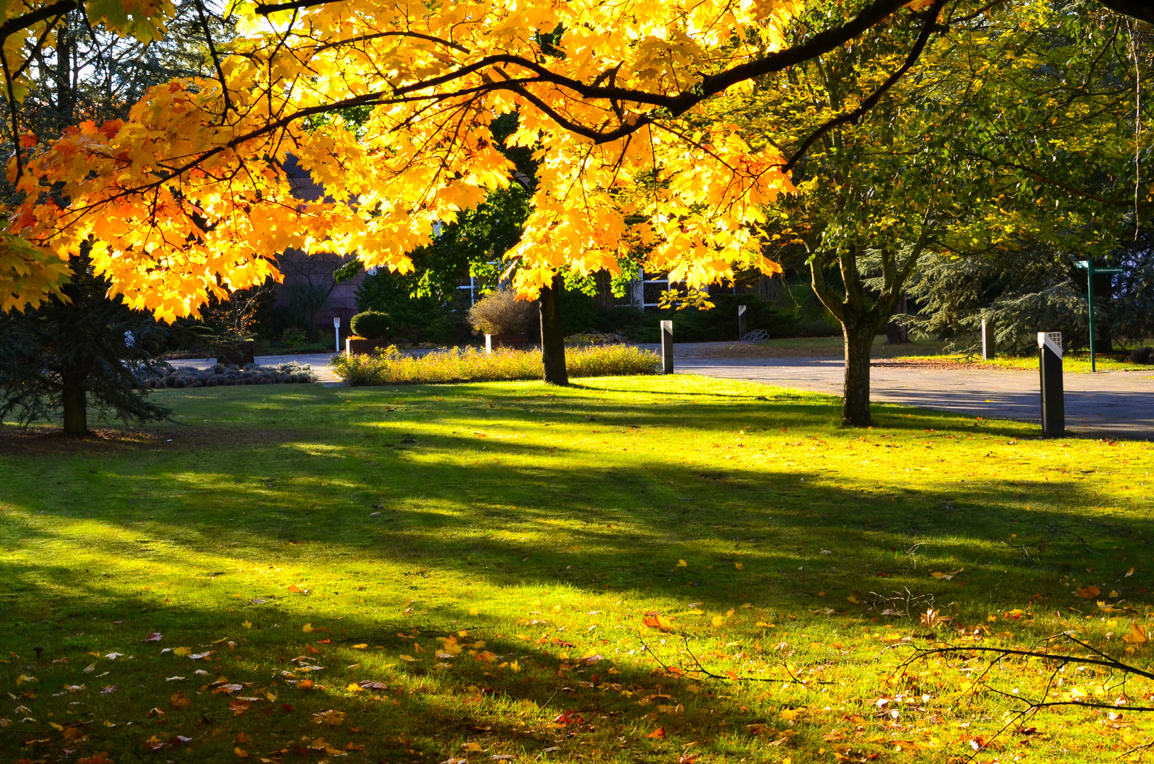 Trauriger Ort mit Schöner Herbststimmung