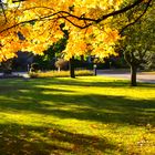 Trauriger Ort mit Schöner Herbststimmung