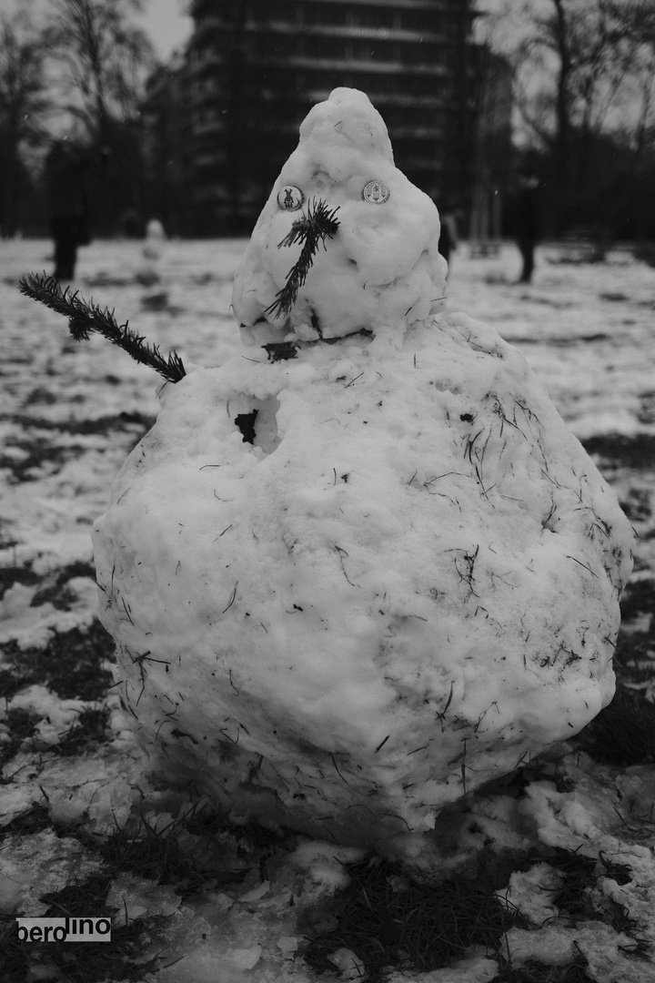 trauriger Schneemann 3