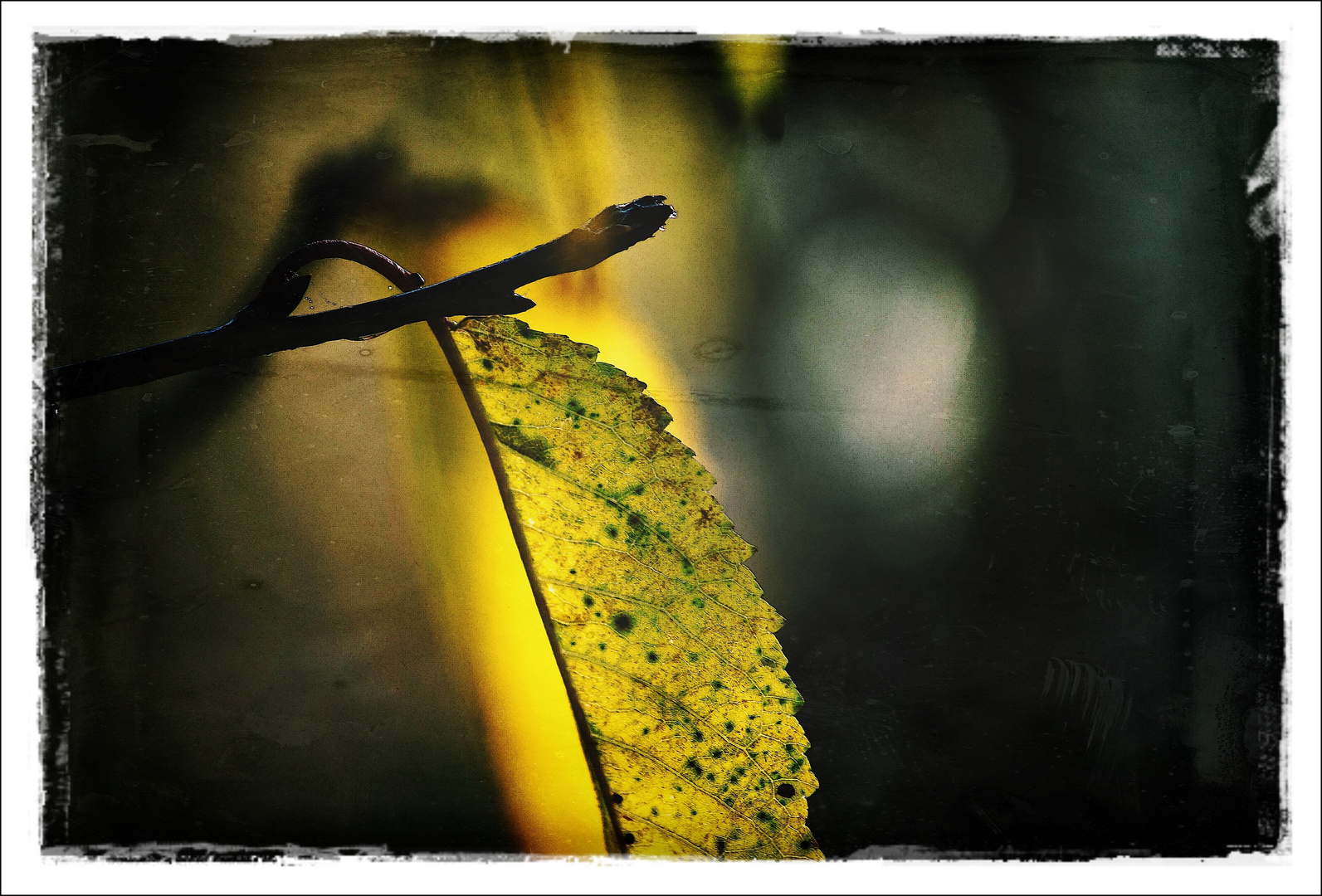 trauriges herbstgebilde