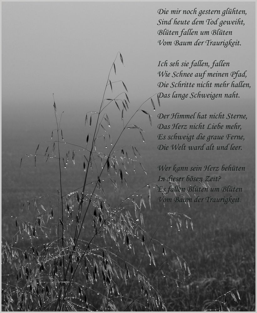 Bilder Zu Traurigkeit 2025 Kathy Roseann