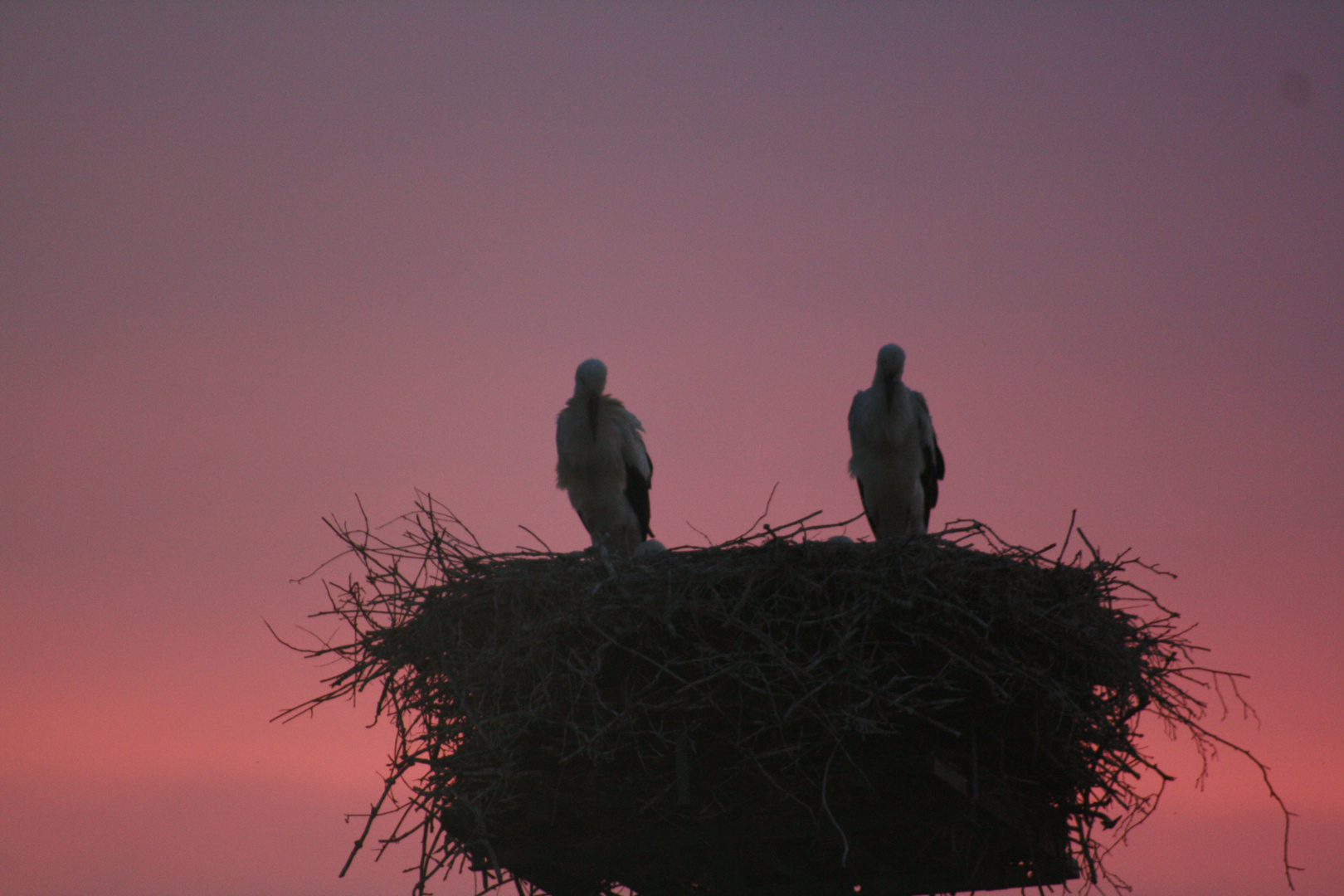 Traute Zweisamkeit am Abend