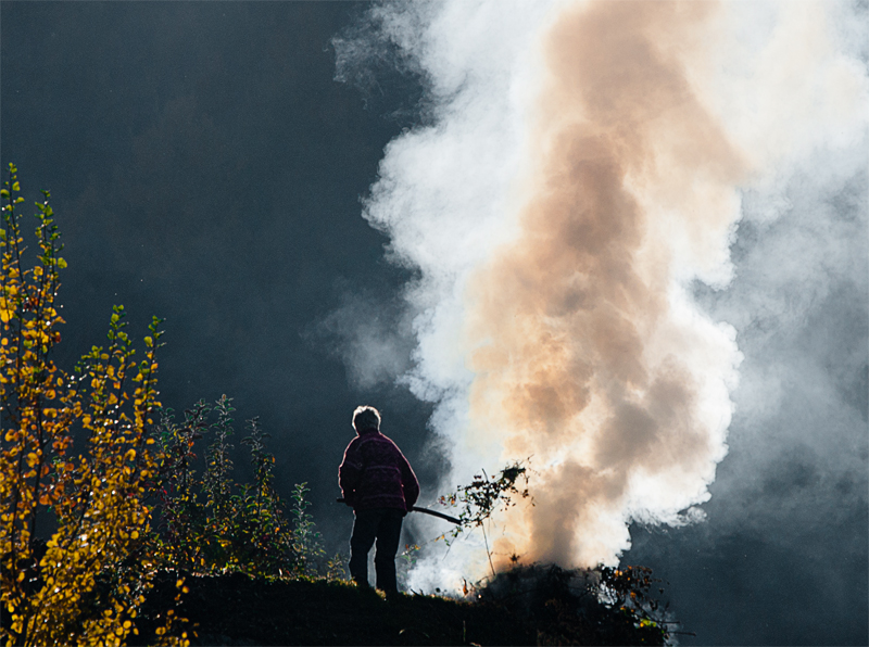 Travail d'automne