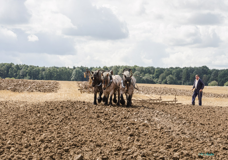 Travail de la terre a l'ancienne