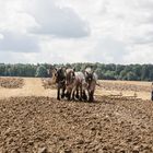 Travail de la terre a l'ancienne