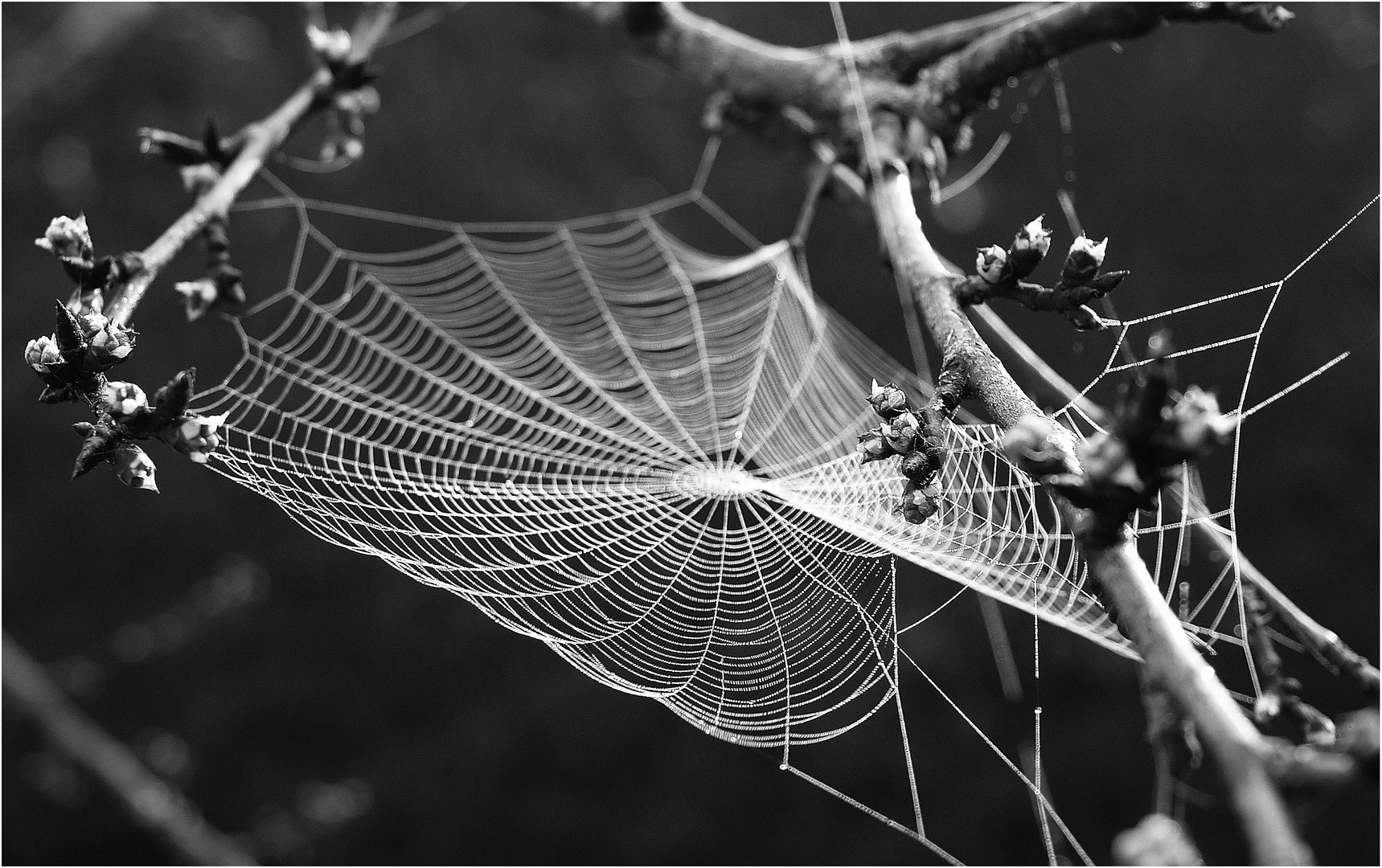 Travail de nuit dans le jardin