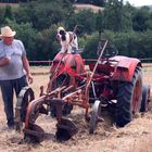 travail d'équipe