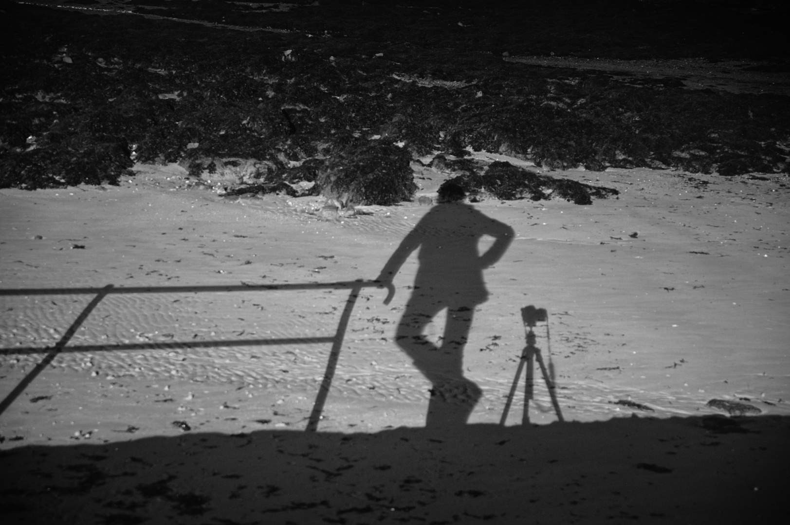 Travailleur de la nuit? Le photographe