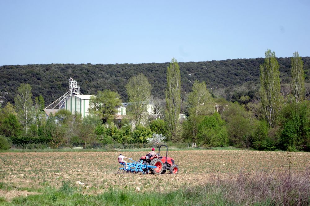 travaux des champs, au printemps