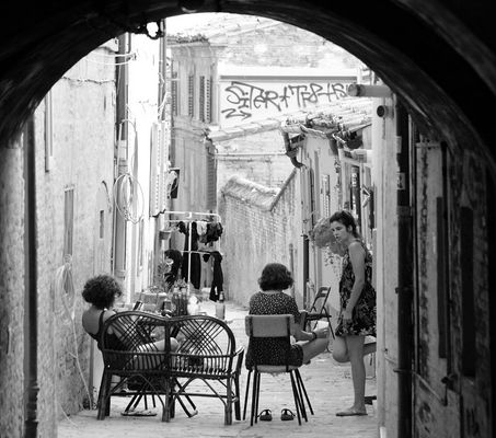 travel and life companions \